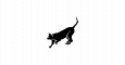 Leasecat