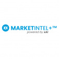 MarketIntel