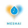 MESH AI