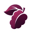 Mulberry Sales