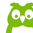 Owlwise