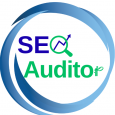 SEO Auditor