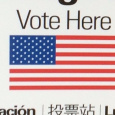 SF Open Voting