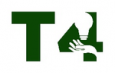 T4