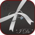 Wedding Planner Professional
