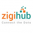 zigihub Sales