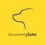 AccountingSuite