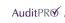 AuditPro