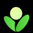 Betula Assistant