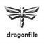 Dragonfile