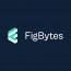 FigBytes