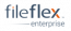 FileFlex