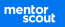 Mentor Scout