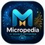 Micropedia AI search optimizer