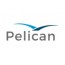 Pelican AI