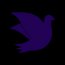 Pigeon Suite