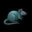 Rat PDF