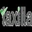 Taxilla Financial Planning and Analysis