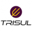 TRISUL NETWORK ANALYTICS