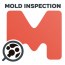 Virtual Mold Inspection