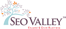 SEOValley Solutions Private Limited