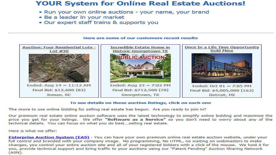 ReAuction Systems screenshot