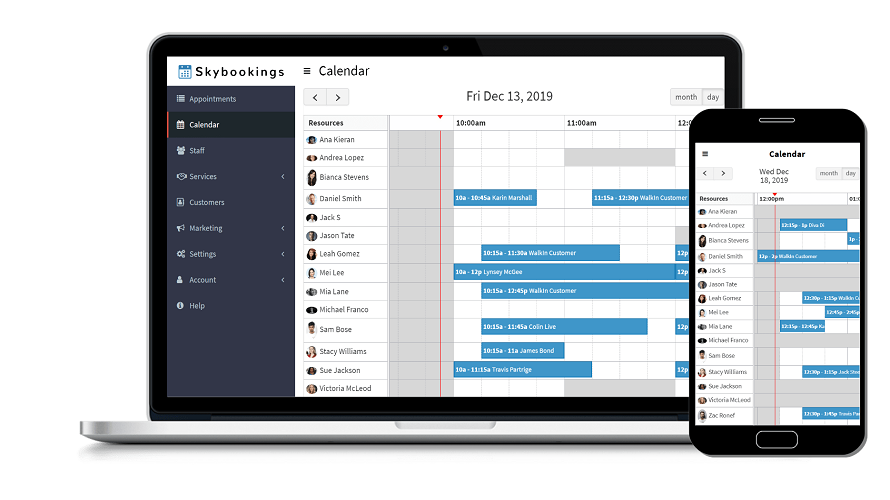 Skybookings screenshot
