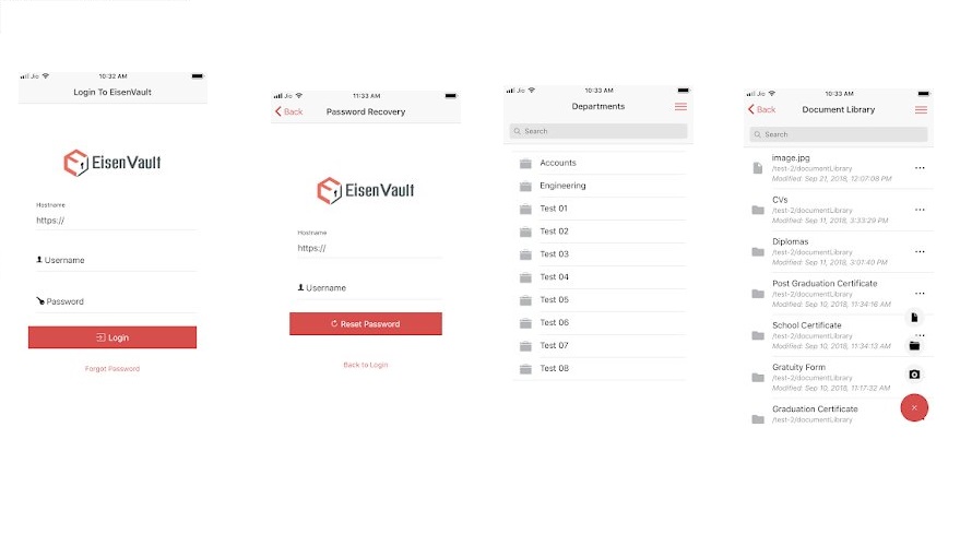 EisenVault