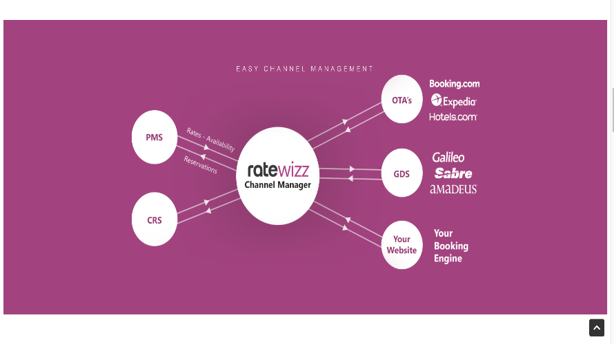 RateWizz