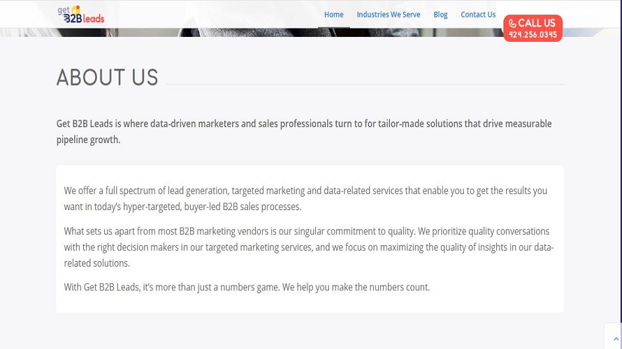 GetB2bLeads screenshot