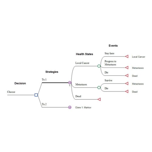 Build and structure Markov models visually, including health states, transitions, strategies, and events.