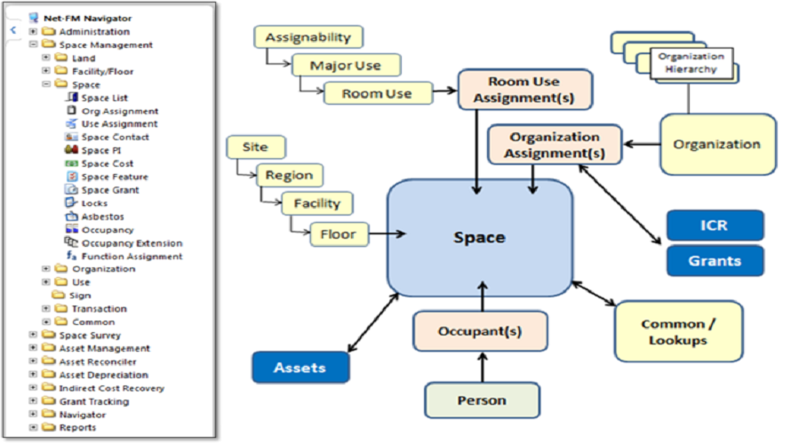Net-FM Reviews & Pricing 2025