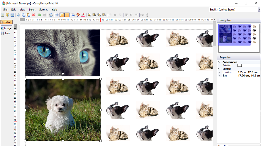 Coragi ImagePrint screenshot