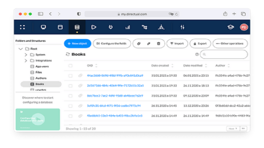 Directual screenshot