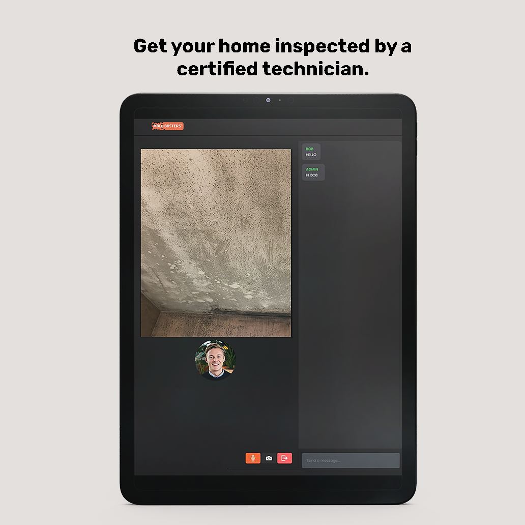 Virtual Mold Inspection