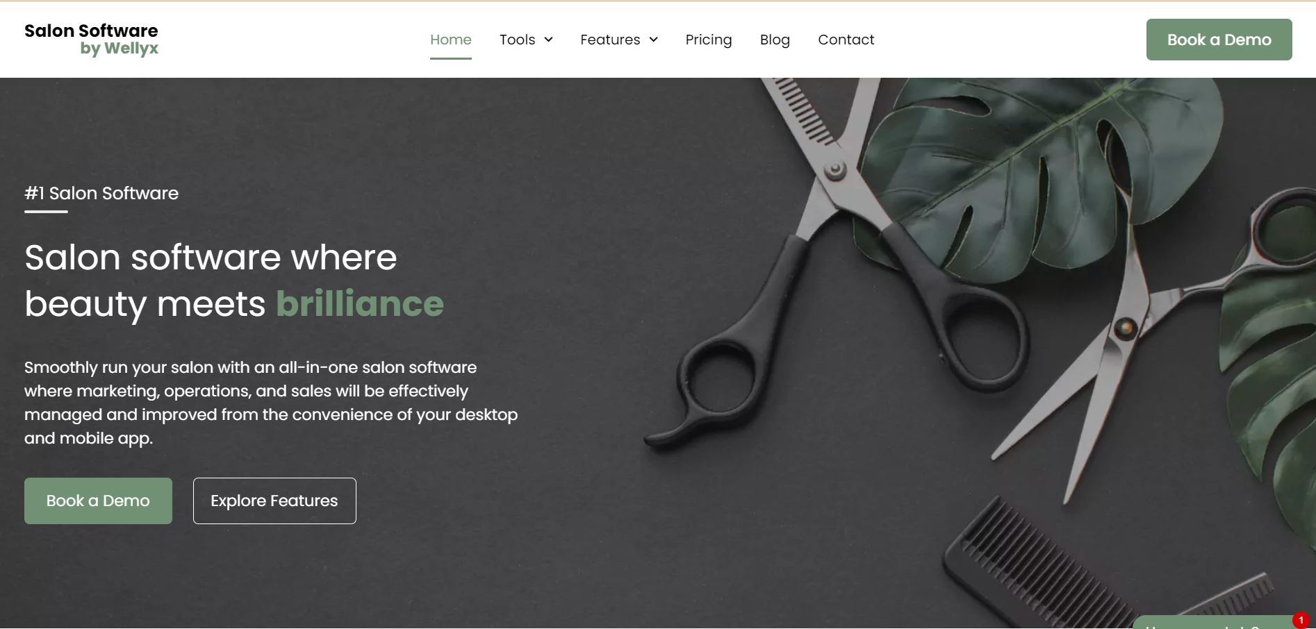 Salon Software by Wellyx