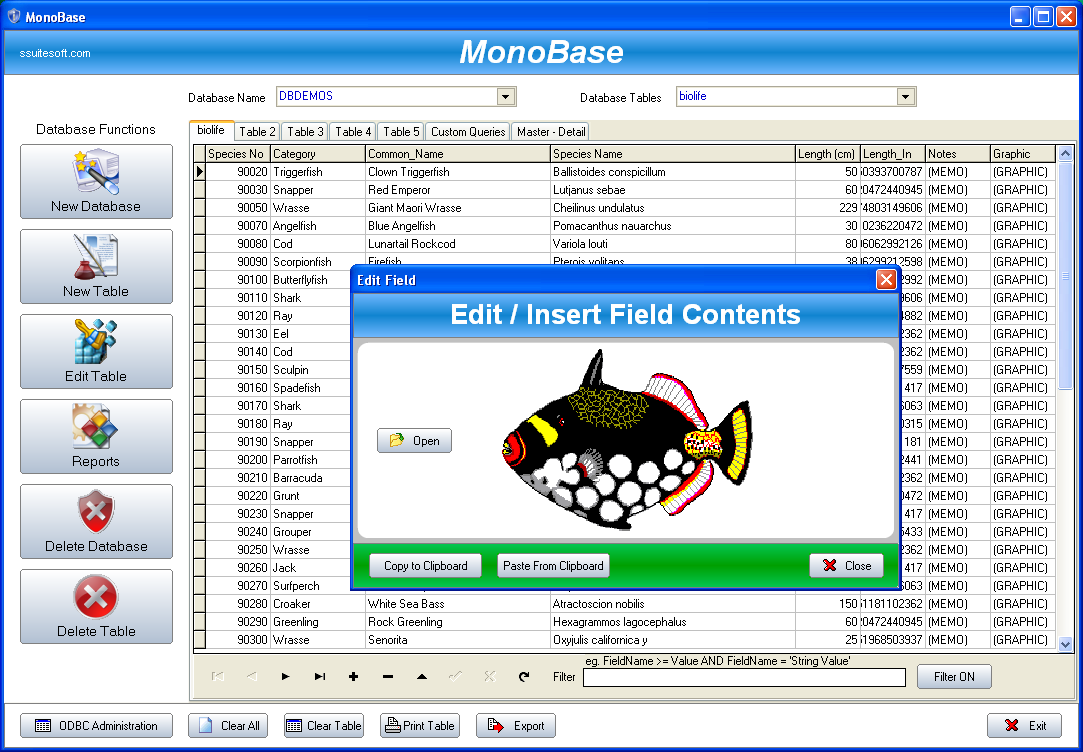 SSuite Office MonoBase screenshot