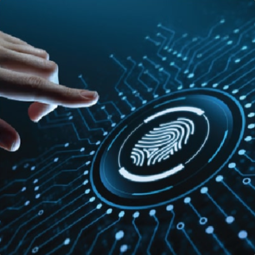 Intellect Digital Core