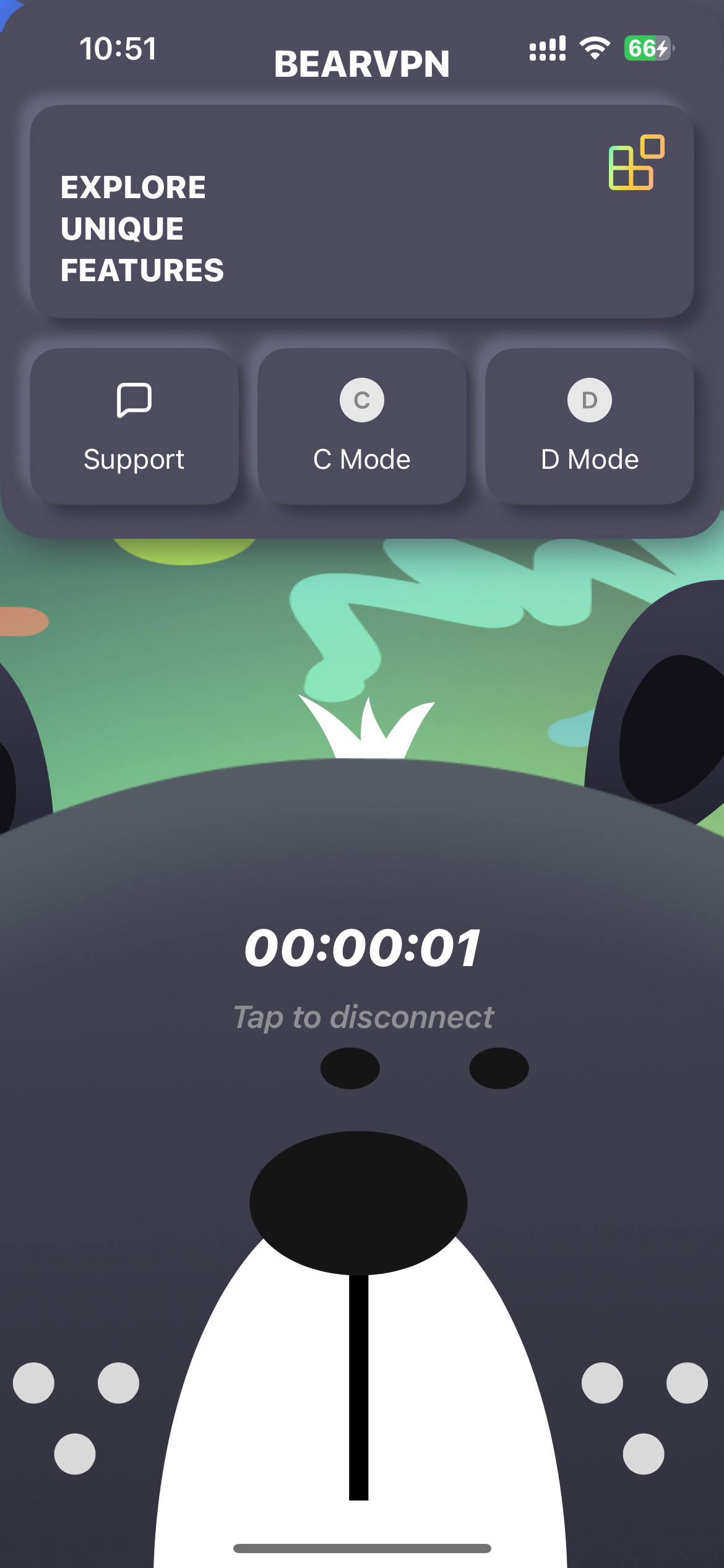 Bear VPN connected