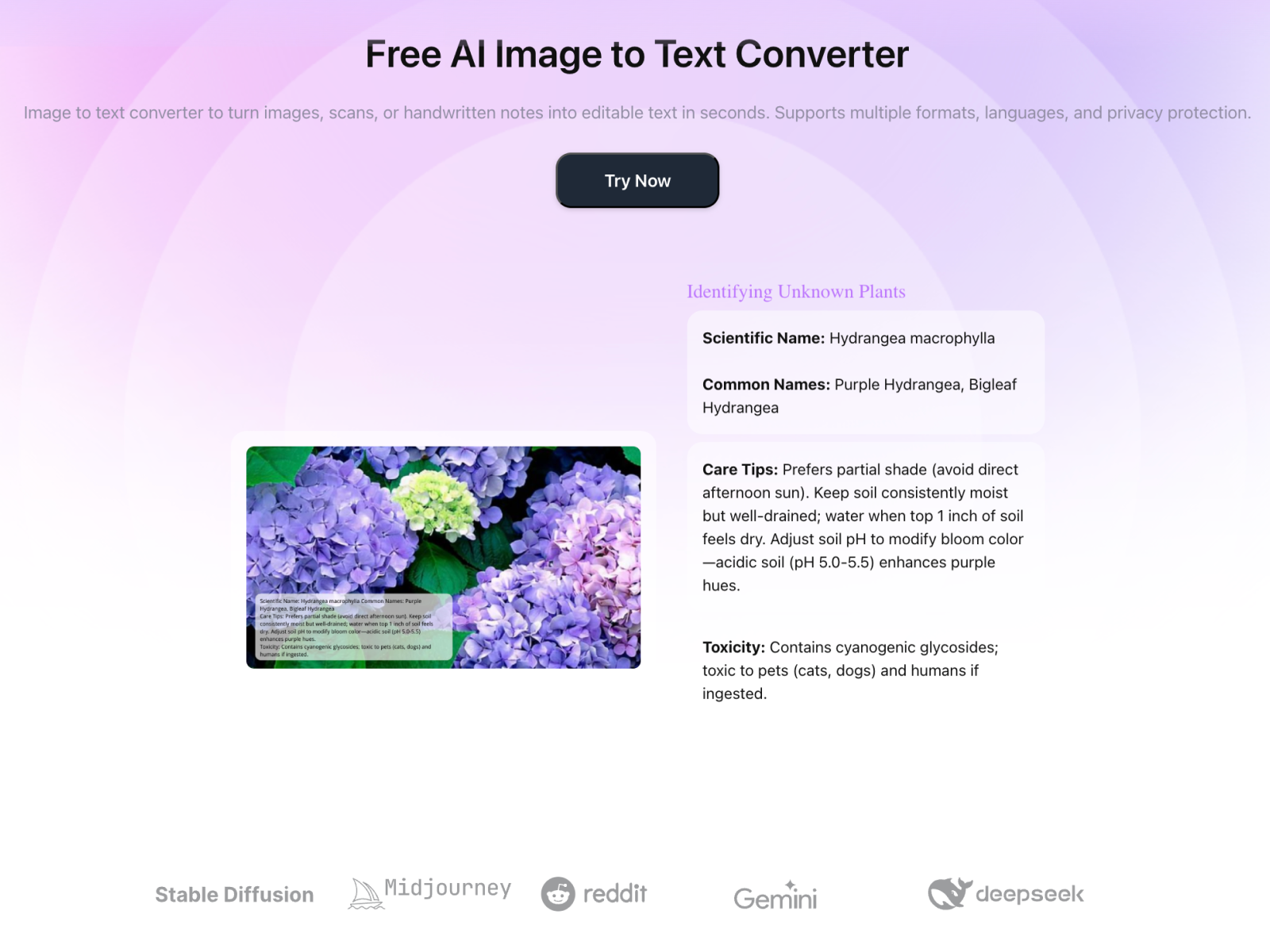 AI Image to Text