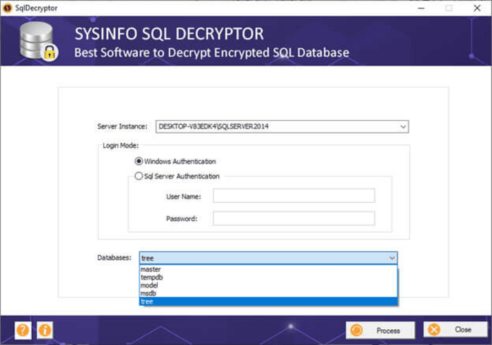 SysInfo SQL Decryptor Tool