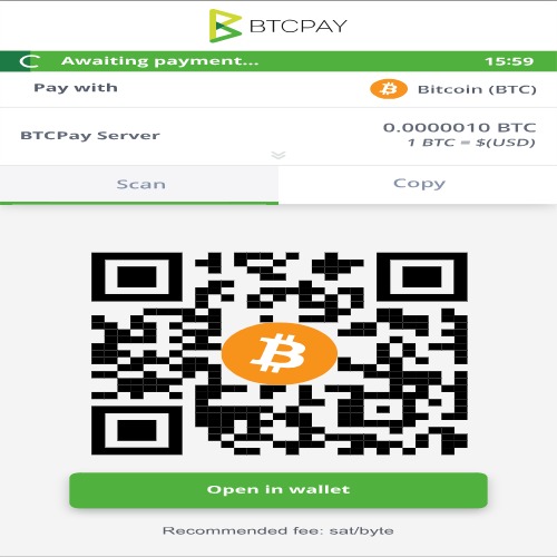 BTCPay Server