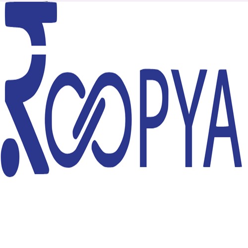 Loan Management System