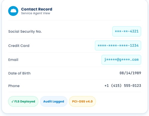 Contour Salesforce Data Masking screenshot