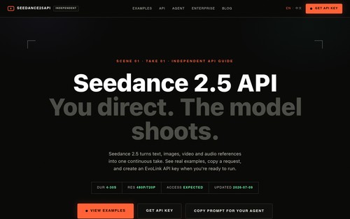 Seedance 2.5 API screenshot