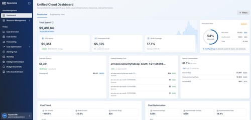 Track, analyze, and optimize cloud costs effortlessly under a single dashboard.