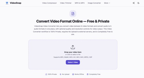 VideoSnap screenshot