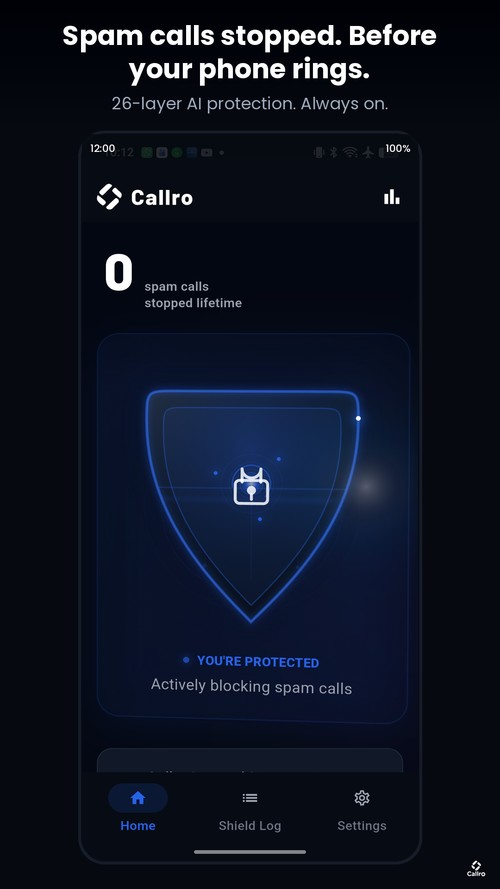 On-device spam and scam call screening dashboard
