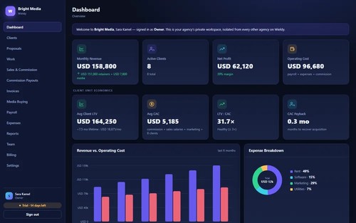 Dashboard: revenue, profit, client unit economics and costs at a glance (sample data)