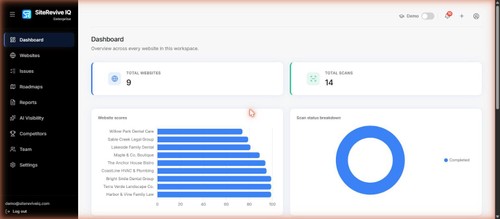 SiteRevive IQ audit dashboard showing site health score and key metrics at a glance.